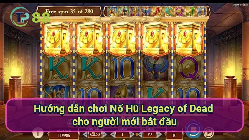 Nổ Hũ Legacy of Dead: Siêu phẩm game slot hấp dẫn 4 huong-dan-choi-no-hu-legacy-of-dead-cho-nguoi-moi-bat-dau