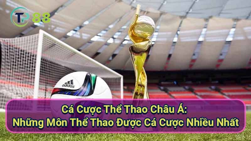 Cá Cược Thể Thao Châu Á: Hướng Dẫn & Phân Tích 3 ca-cuoc-the-thao-chau-a:-nhung-mon-the-thao-duoc-ca-cuoc-nhieu-nhat